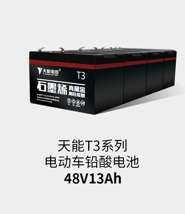 ͻT3ϵ48v13ah
