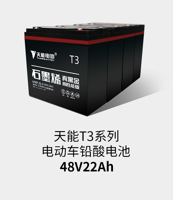 ͻT3ϵ48v22ah